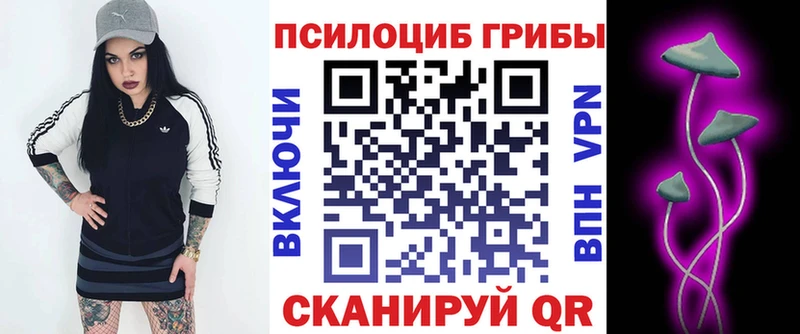 blacksprut как войти  Приморск  Галлюциногенные грибы GOLDEN TEACHER 